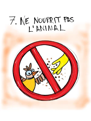 1er soin : ne pas nourrir l'animal